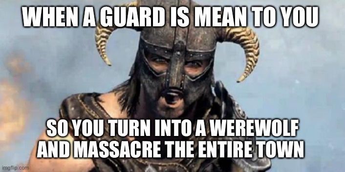 Skyrim | WHEN A GUARD IS MEAN TO YOU; SO YOU TURN INTO A WEREWOLF AND MASSACRE THE ENTIRE TOWN | image tagged in skyrim | made w/ Imgflip meme maker