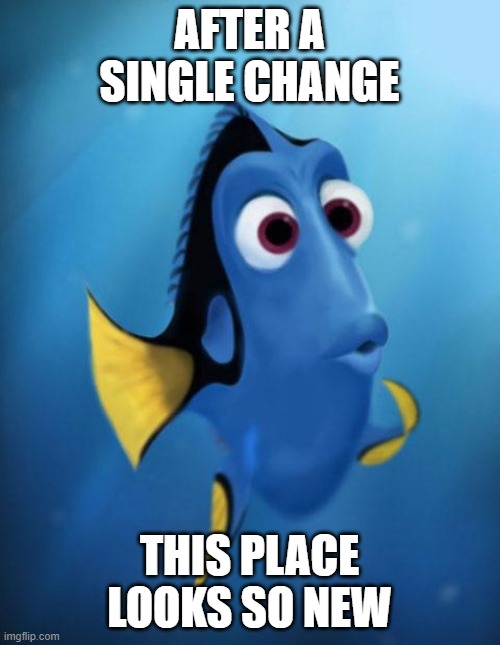 Dory | AFTER A SINGLE CHANGE THIS PLACE LOOKS SO NEW | image tagged in dory | made w/ Imgflip meme maker