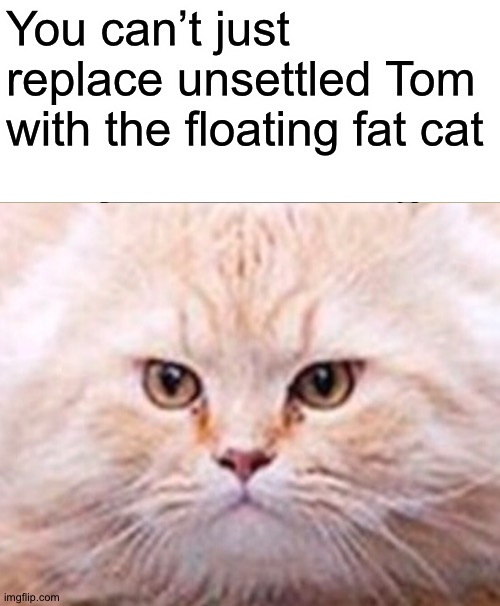 You can’t just replace unsettled Tom with the floating fat cat | image tagged in memes,unsettled tom | made w/ Imgflip meme maker