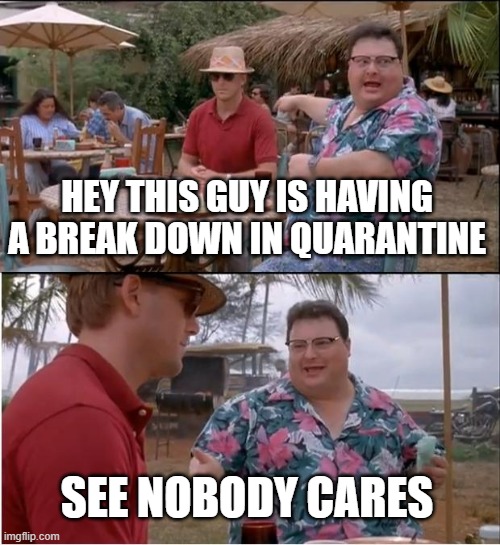 See Nobody Cares | HEY THIS GUY IS HAVING A BREAK DOWN IN QUARANTINE; SEE NOBODY CARES | image tagged in memes,see nobody cares | made w/ Imgflip meme maker