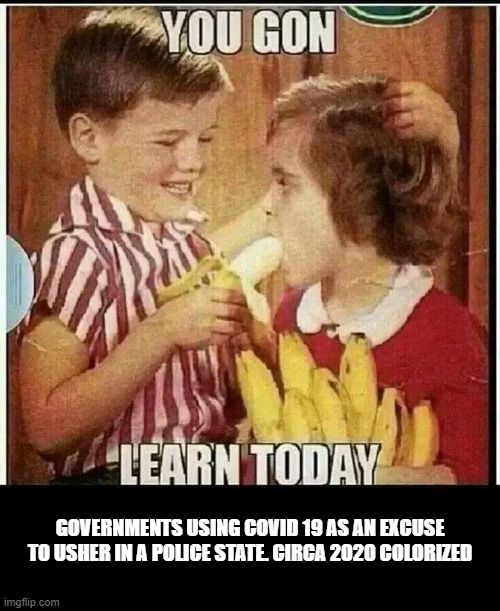 Government ushering in tyranny | GOVERNMENTS USING COVID 19 AS AN EXCUSE TO USHER IN A POLICE STATE. CIRCA 2020 COLORIZED | image tagged in covid 19,tyranny,martial law,infowars | made w/ Imgflip meme maker