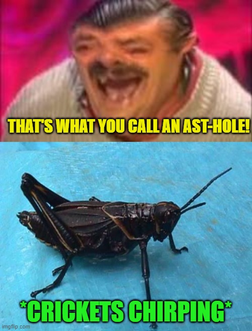 THAT'S WHAT YOU CALL AN AST-HOLE! *CRICKETS CHIRPING* | image tagged in cricket,laughing mexican | made w/ Imgflip meme maker