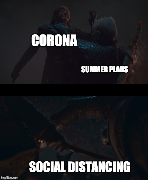 CORONA AND MY SUMMER PLANS | CORONA; SUMMER PLANS; SOCIAL DISTANCING | image tagged in arya feints night king | made w/ Imgflip meme maker