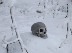 Winter Death Meme Template