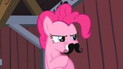 Pinkie Pie Disguise  Meme Template