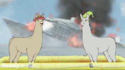 Llamas with hats Meme Template