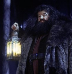 Hagrid  Meme Template