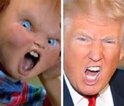 Chuckie Trump Meme Template