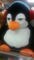 Plush penguin is not amused Meme Template