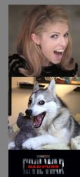 Anna Kendrick vs Bad Pun Dog Meme Template
