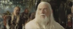 Gandalf shaking his head Hobbits Meme Template