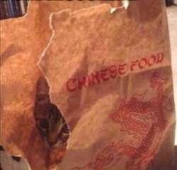 Chinese food Meme Template