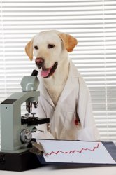 Microscope Dog Meme Template