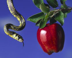 Serpent & The Apple Meme Template