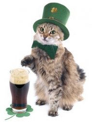 Irish cat Meme Template