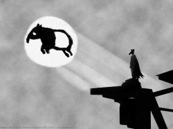 tapirman Meme Template