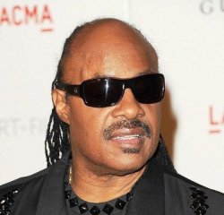 Stevie Wonder Meme Template