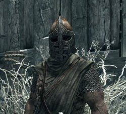 arrow in the knee Meme Template