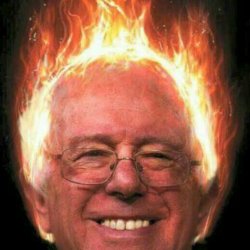 hair Bern #Bernie2016 Meme Template