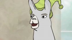 drama llama Meme Template