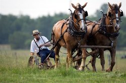 Amish farmer Meme Template