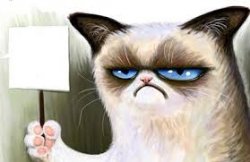 Grumpy Cat sign Meme Template