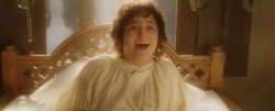 Frodo Waking Up In Rivindell Meme Template