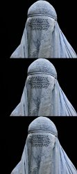 Bad Pun Burka Meme Template