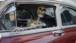 Waiting Skeleton Car Meme Template