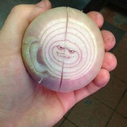 Onion Face Meme Template