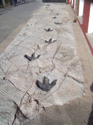 dinosaur footprints Meme Template