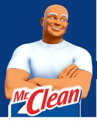 Mr clean Meme Template