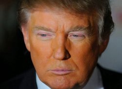 Orange Donald Trump  Meme Template