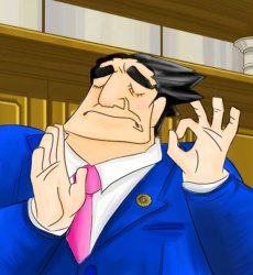 pacha phoenix wright Meme Template