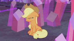 First world problem Applejack Meme Template