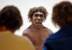 Neanderthal Dafuq Meme Template