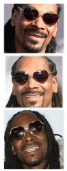 Bad Pun Dogg Meme Template