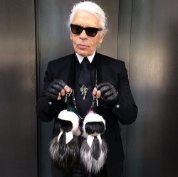 Karl Lagerfeld Meme Template