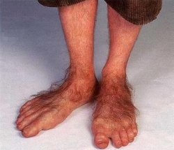 HobbitFeet Meme Template