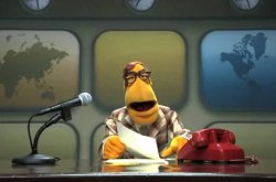 Muppet News Flash Meme Template