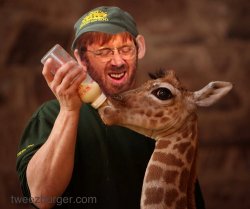 Trey Anastasio Meme Template