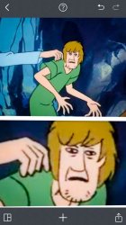 Shaggy Meme Template