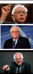 BadPunBernie Meme Template