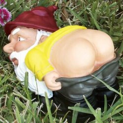 Gnome Meme Template