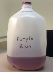 Purple Rain Meme Template