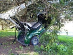 Golf Cart in Tree Meme Template