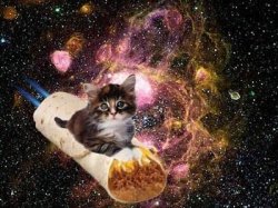 Cat in Space Meme Template
