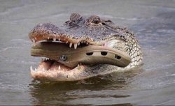 Crocs bonding Meme Template