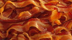 Bacon Meme Template