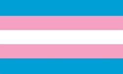 Transgender Flag Meme Template